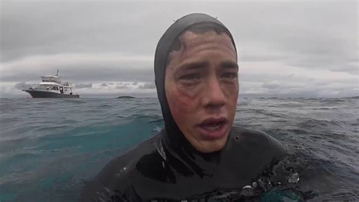 A turtle swam right up to a diver in the ocean, suddenly slapped him with its flipper, and casually swam away. 😂😂