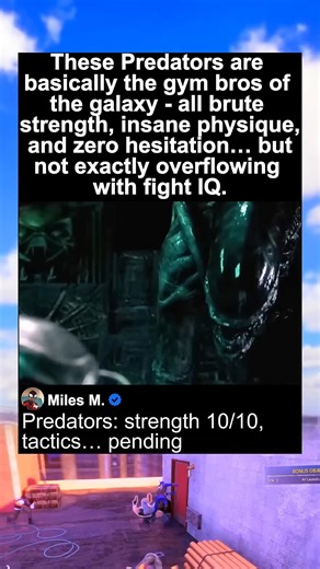 AVP ALIEN VS. PREDATOR (2004) - The Predator Killed The Alien | America Now