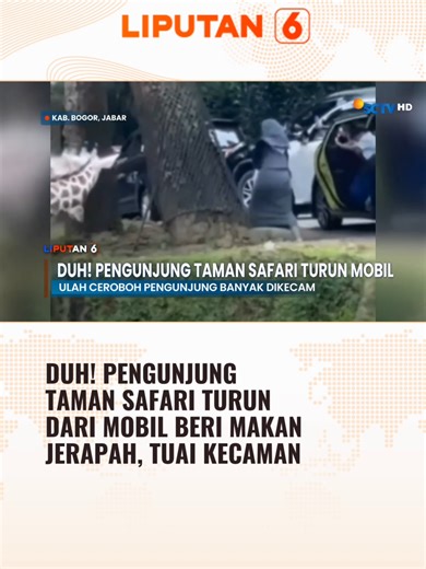 Keselamatan Saat Memberi Makan Hewan di Taman Safari