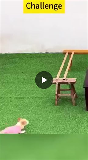 𝗥.𝗔.𝗠.𝗣. 𝗮𝗻𝗱 𝗟𝗲𝗮𝗱𝗲𝗿𝘀𝗵𝗶𝗽: 𝗧𝗵𝗲 𝗛𝗶𝗱𝗱𝗲𝗻 𝗕𝗼𝘁𝘁𝗹𝗲𝗻𝗲𝗰𝗸 𝗞𝗶𝗹𝗹𝗶𝗻𝗴 𝗧𝗲𝗮𝗺 𝗣𝗲𝗿𝗳𝗼𝗿𝗺𝗮𝗻𝗰𝗲… Most leaders think their job is to show the way. That’s exactly… | Dr. Balraj Saini | 11 comments