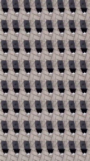 Send This With ZERO Explanation