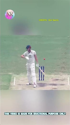 😱 The one person who stunned the entire Australia cricket team 🔥c2 #iplcricket #sportfacts #shorts