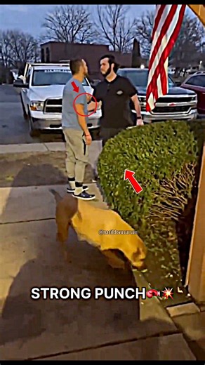 💥🥊 Boxing & an Athletic Physique ⚡ Full-Body Development Boxing builds lean muscle, explosive power, and overall athletic strength. 🏃 Speed & Mobility Footwork, agility, and coordination improve naturally with boxing training. 🏋️‍♂️ Conditioning & Endurance High-intensity rounds burn fat while boosting stamina and resilience. 🧠 Strong Body Control Balance, posture, and core stability shape a functional, athletic physique. 🎯 Train Boxing. Build an Athletic Body. — This video is for educatio