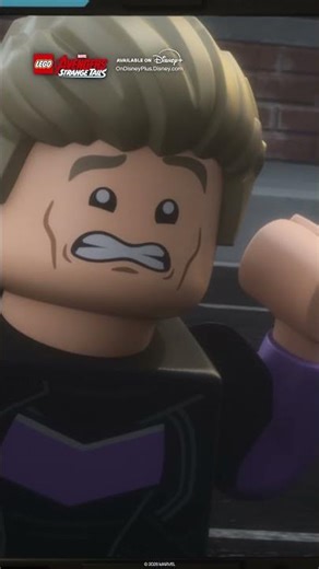 Hawkeye's Cat Meltdown Mode 🫠🐈