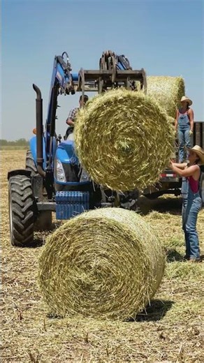 Texas Farmers Loading Giant Hay Bales with New Holland Tractor 🚜🔥 | Amazing Farming Skills