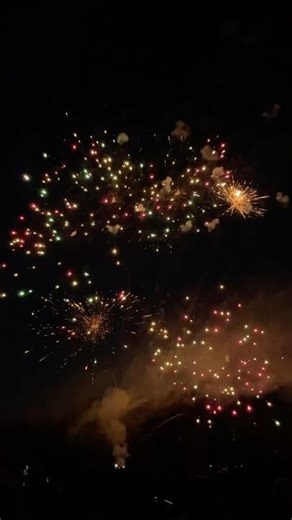 Neon Fireflies By Nishipyro Pro Fireworks (49 Shot)