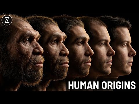 3 Surprising Facts About Neanderthals in Your DNA