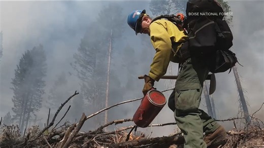 Gov. Brad Little to declare May as Wildfire Awareness Month in Idaho