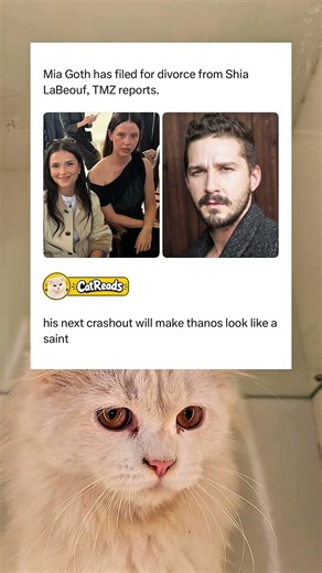Mia Goth Files for Divorce from Shia LaBeouf Next Crashout Incoming