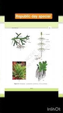 PART -1 NCERT SCIENCE BOOK CLASS 11TH CHAPTER 1 TO 7 #scienceguide