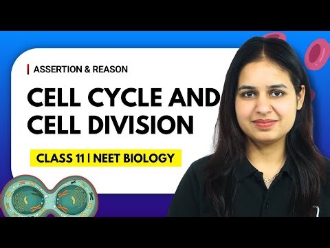 Cell Cycle and Cell Division | Assertion & Reason | NEET Biology | NEET 2026