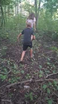 let's explore the forest