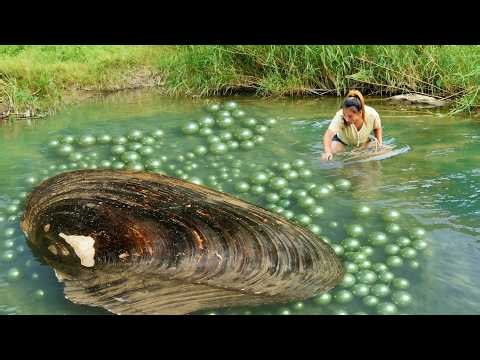 The sparkling green pearl clams in the small river, I will take you to experience the pearl feast