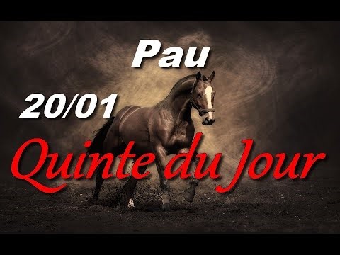 PRONOSTIC PMU QUINTE DU JOUR MARDI 20 JANVIER 2026