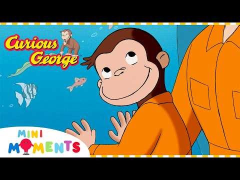 Georges Underwater Adventure! | Curious George | Mini Moments