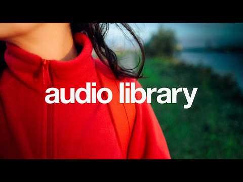 Relaxing Lo-fi Music for Study Sessions & Vlogs 📚 (No Copyright) | Lo-fi miku - Alone Again