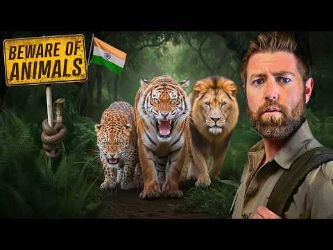 Face to Face with India’s Deadliest Animals (Private Tour)