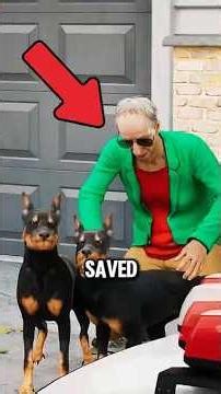 These Hero Dogs Saved Lives in Seconds — Their Loyalty Changed Everything 🐕🔥#usa