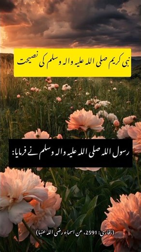 Best Hadees || Hadees Mubarak || Hadees Sharif || Hadees Nabvi || Hadees Of Prophet Muhammad SAW ||