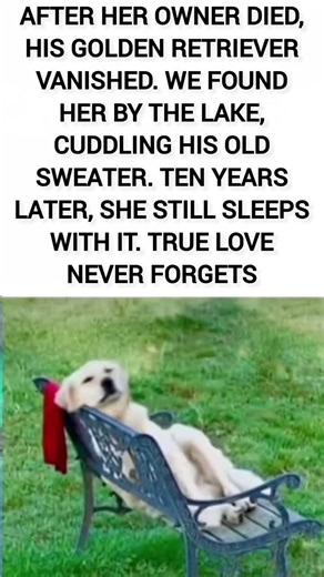 A Dog’s Love Never Dies 💔🐶 | 10 Years of Loyalty .