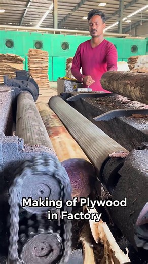 India's Biggest Plywood Making Factory of Gujarat | Indian Factory Club