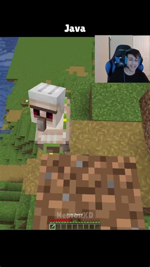 Minecraft Java Vs Bedrock!