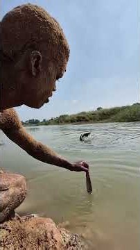 Sandman catching lots of alive fish by hand in underwater river #fishing #shorts #viralshorts #fish