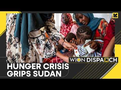 Sudan Hunger Crisis: Two-Thirds in South Sudan Face Famine-Like Conditions | WION Dispatch