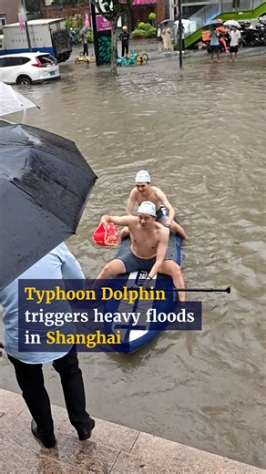 Typhoon Dolphin brings heavy rain and widespread flooding to Shanghai