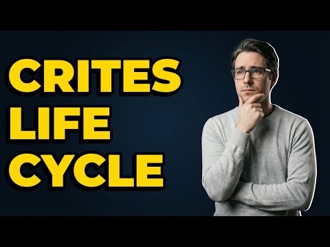 What Is The Crites Alien Life Cycle In Slither?