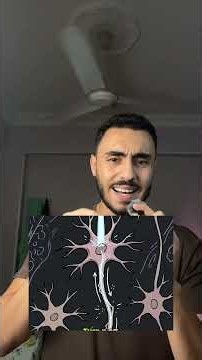 Nobel Prize in Medicine 2026