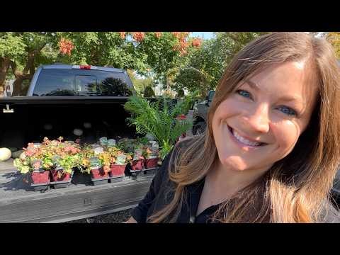 Planting Some Of My Favorite Perennials & Some Bulbs + Repotting a Tree Fern for Inside! 💚🥰🪴