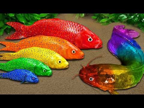 Best Of Small Fish Recipe | MINIATURE Fish Cooking Made EASY with Simple Recipe