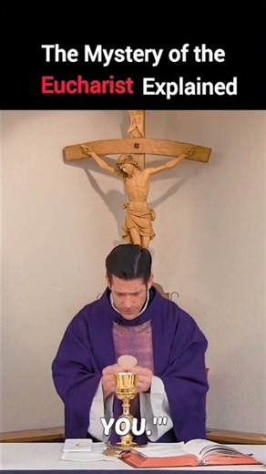 The mystery of the Eucharist #jesus #god #shorts | Fr. Mike Schmitz | #sundaymass