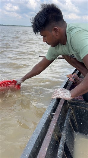 Unique Catch from the Padma River 🌊🐟Rare moments of real river fishing! #fish #riverfishing #catchfish #fishing | Fishing Life With Rijvi