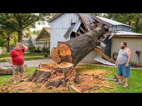 Idiots With Chainsaws: Tree Cutting Fails | Extreme Dangerous Logging Truck Fails #42