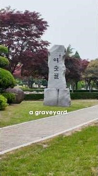 How This Field in Korea Became a Global Shrine for the Nameless