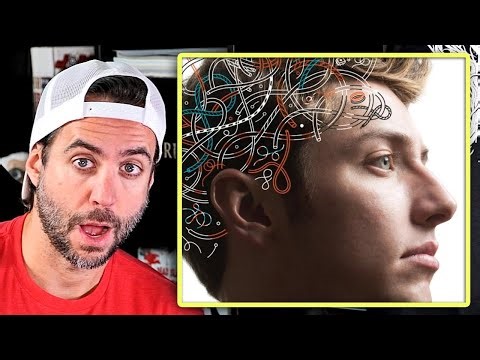 LA ADOLESCENCIA DURA HASTA LOS 32 AÑOS... SEGÚN UN NUEVO ESTUDIO - Jordi Wild