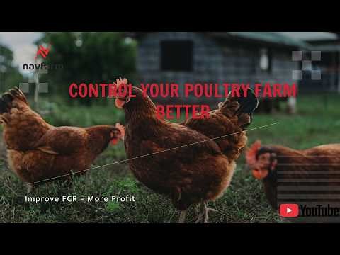 Smart Poultry Farm Management | Reduce Feed Cost with NAVFarm