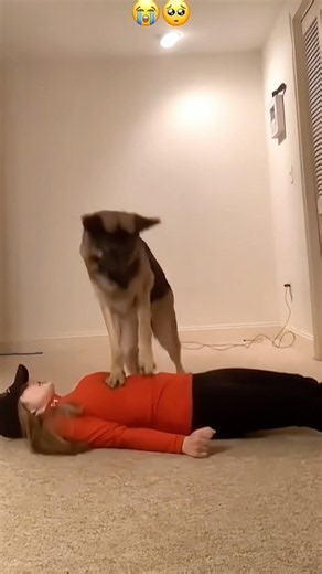 When These Pets Sensed Danger, Their Reactions Were Incredible! 🥺
