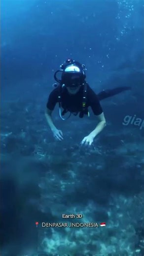 Alien Something Strange Was Found Inside a Sunken Ship at a famous Dive Site in Indonesia 🇮🇩 📍