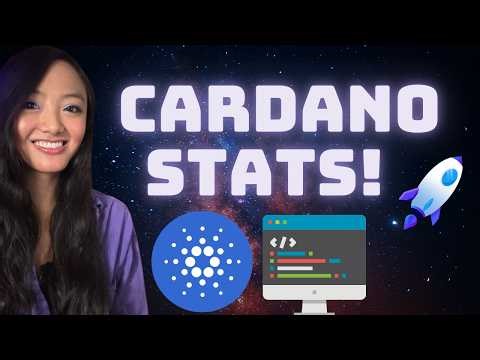 CARDANO Smart Contract Game + Weekly Stats!