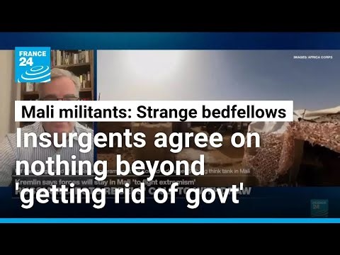 'Damage control mode': Reputations of Mali junta & Russian mercenaries 'hang in balance'