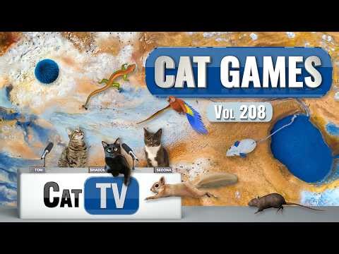 CAT Games | Ultimate Cat TV Compilation Vol 208 | 8 HOURS 🐝🐞🦋🦎🦜🐜🐭🧵