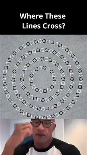 Insane Optical Illusion | Are These Concentric Circles or Spirals?