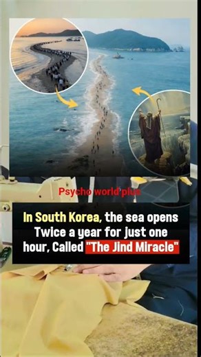 The Jindo Miracle: When the Sea Makes Way 🌊✨