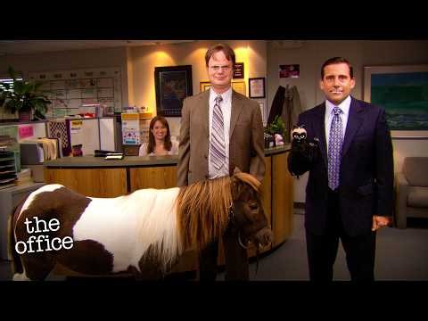 The New Guy Sucks - The Office US