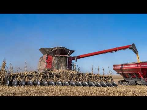 NEW 2027 16 Row DRAGO GT+ Corn Head