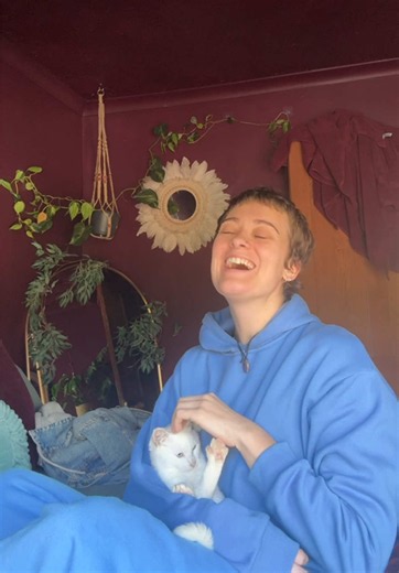 Feral Kitten Gwen Gets a Perfect Leg Up from Her Owner 😂