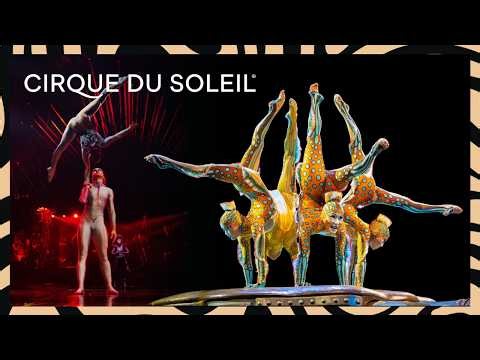 Harmony, Flexibility & Trust | Cirque du Soleil